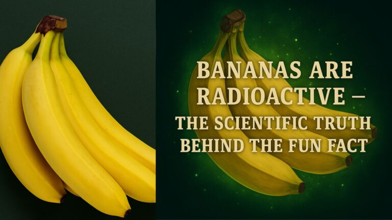 Bananas Are Radioactive