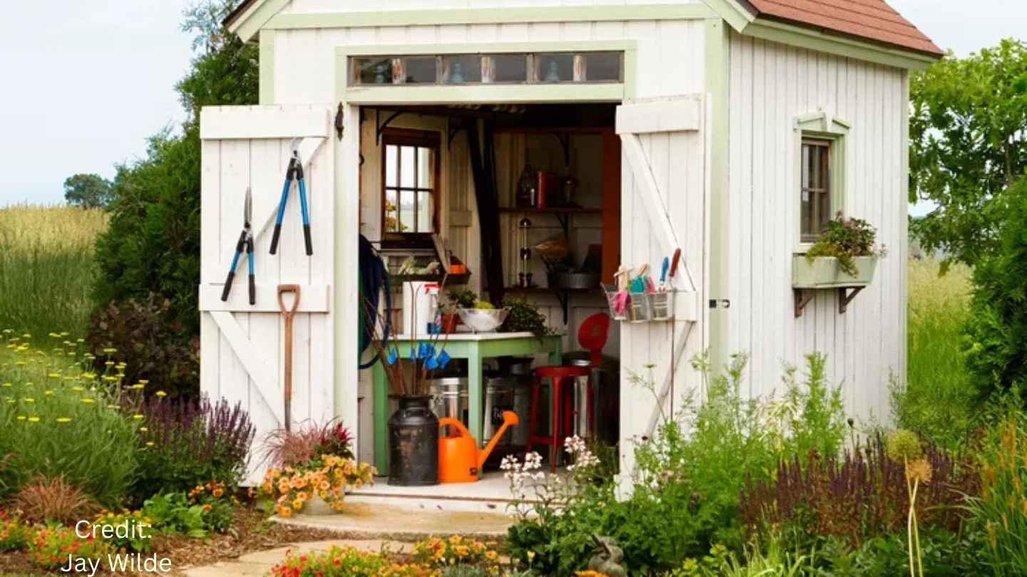 Things You Should Never Leave in Your Shed