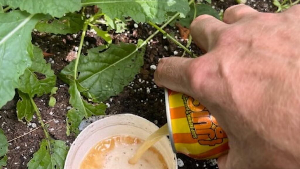 Keep Slugs Out of Your Garden