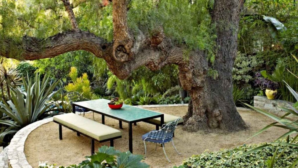 Hiring a Landscape Designer