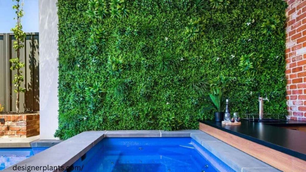 Privacy Hedges That Double as Green Walls