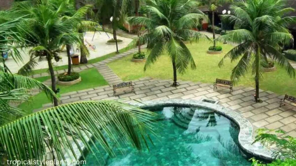 Palm Trees for Instant Tropical Vibes