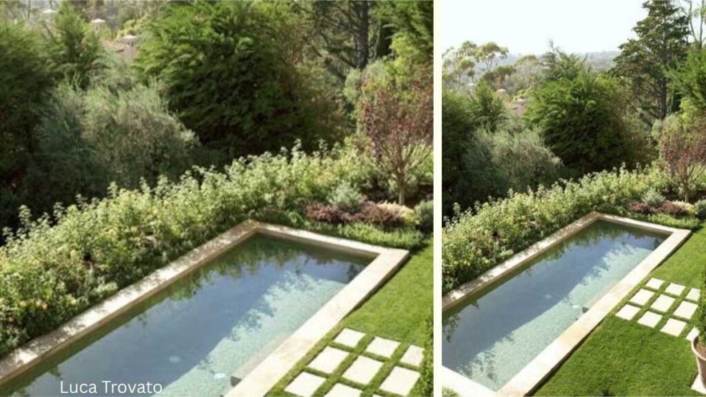 Wildflower Borders for a Natural Retreat
