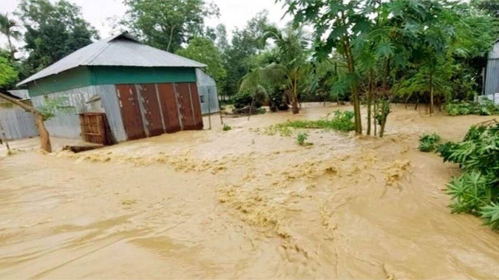 Flood affects plants