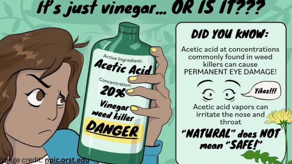 Vinegar Weed Killer