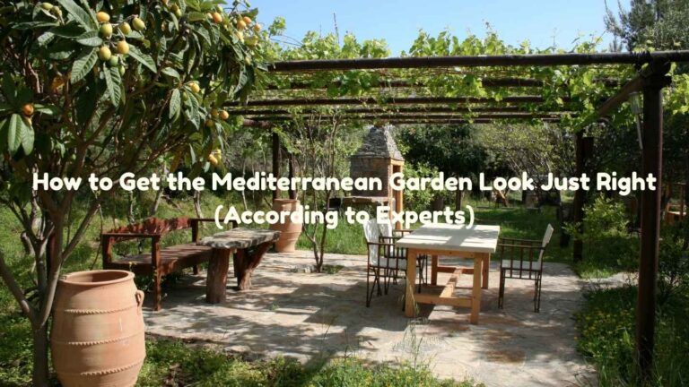 How to Get the Mediterranean Garden Look Just Right