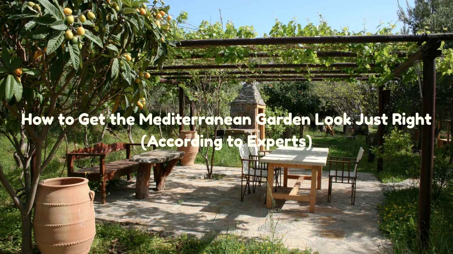 How to Get the Mediterranean Garden Look Just Right
