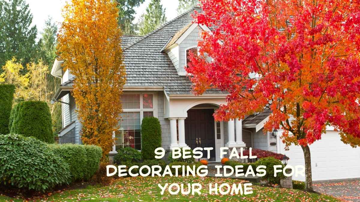 Fall Decorating Ideas