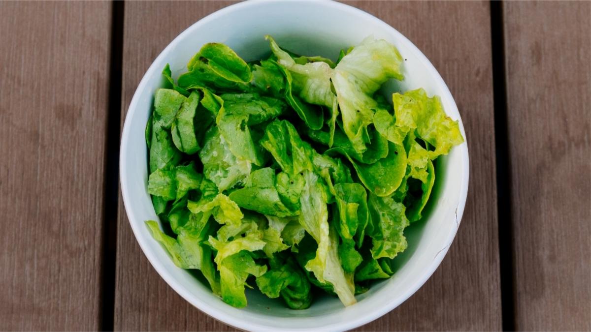 Lettuce Leaves in Water