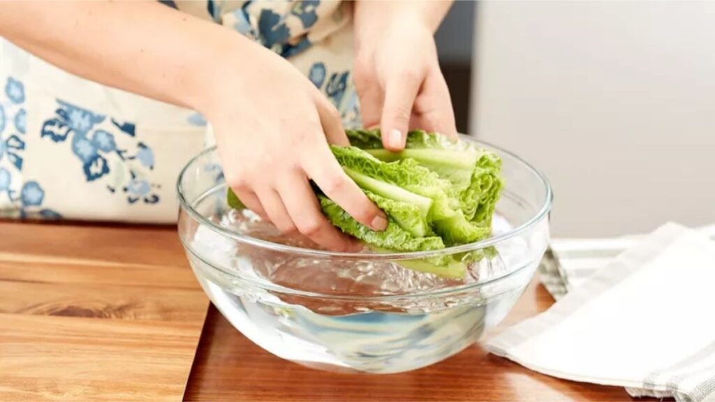 Lettuce in water