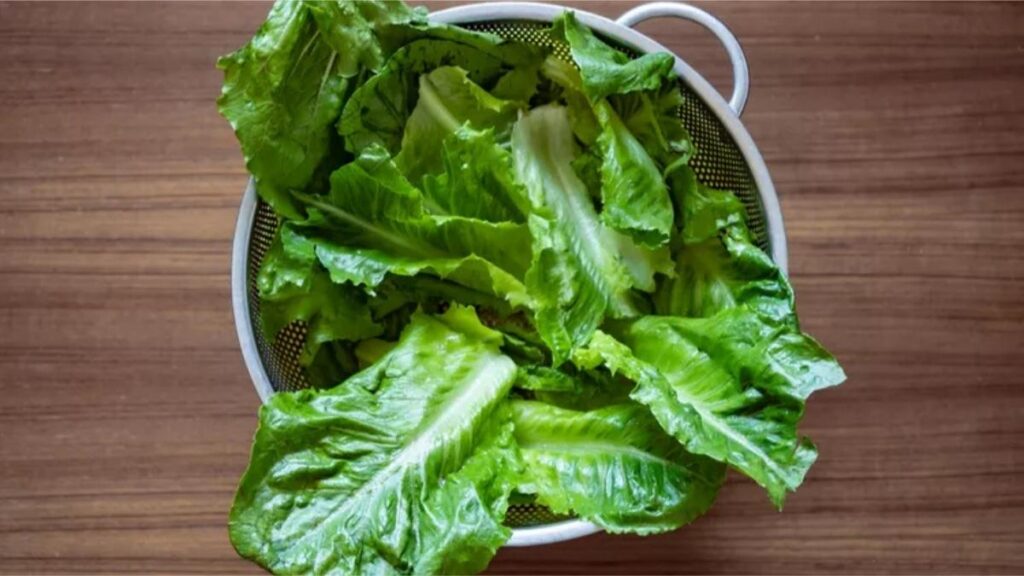 Lettuce