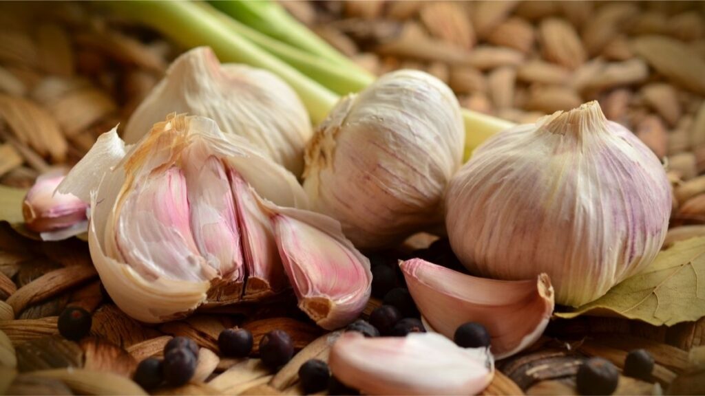 Cure Garlic from Your Garden