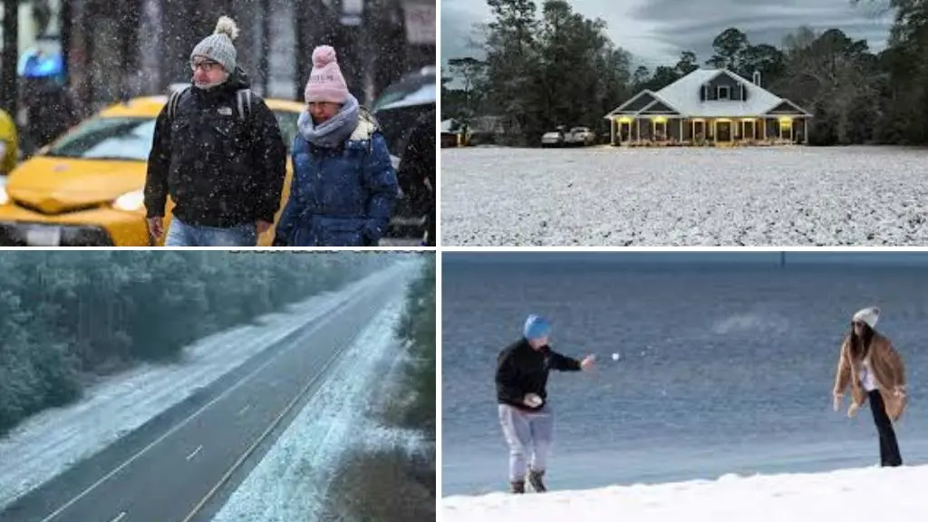 Snow in Florida 2026: Everything You Need to Know About the Sunshine State's Historic Winter Weather