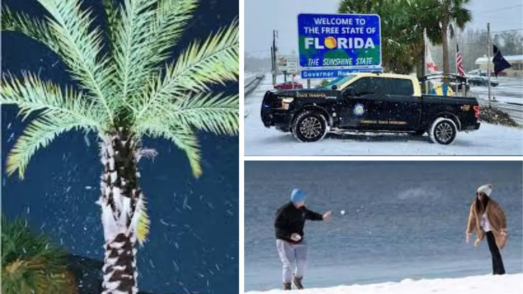 Snow in Florida 2026