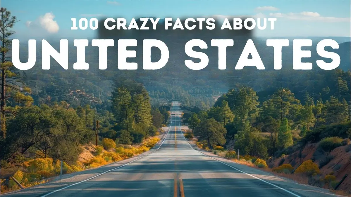 Facts About America